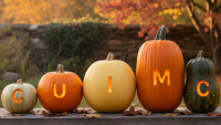 The Great Fall Photo Chase